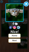 Owl Jigsaw Puzzle screenshot 7
