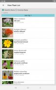 Kansas Wildflowers screenshot 14