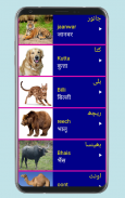 Learn Urdu From Hindi screenshot 11