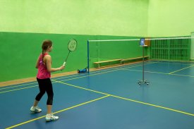 Badminton Court Training screenshot 1