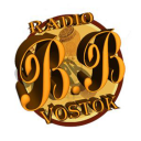 Radio BBVostok icon