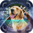 Dog Scanner: Breed Identifier Icon