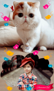 Sweet Cats GIF Photo Frames screenshot 1