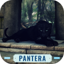 Panther Roar Icon