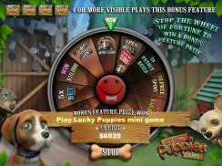 Pet Store Puppy Dog Slots FREE screenshot 11