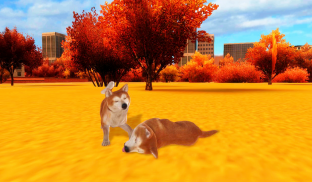 Akita Dog Simulator screenshot 14