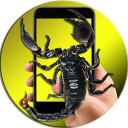 Scorpion On Hand Screen Photo Icon