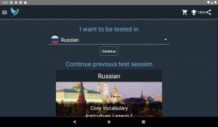 Russian Language Tests screenshot 9