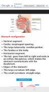 Anatomie - Physiologie screenshot 0