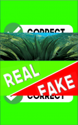 Real or Fake Photo Game screenshot 2