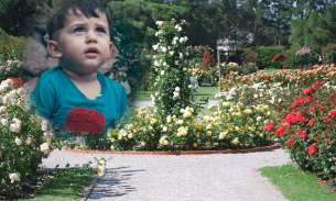 Photo Frame Garden Photo Frame screenshot 7