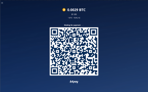 Bitcoin Checkout screenshot 3