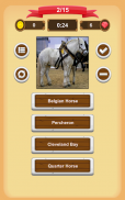 Horse Quiz screenshot 7