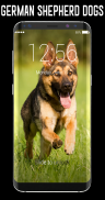 German Shepherd Dog Lock Screen screenshot 0