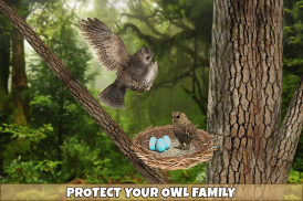 Wild Owl Bird Family Survival screenshot 5