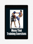 Muay Thai Techniques Training screenshot 4