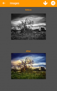 Black and White Photo Colorizer - Chromatix screenshot 6