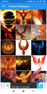 Phoenix HD Wallpapers screenshot 7