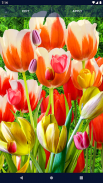 Tulips Spring Live Wallpaper screenshot 1