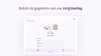 Toeslagen screenshot 1