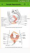 Human Anatomy and Physiology screenshot 4