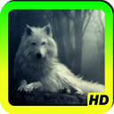 Wolf Wallpapers Icon