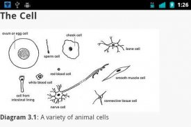 Animal Anatomy and Physiology screenshot 1