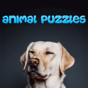 Animals Puzzle Icon