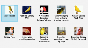 Canaries Info screenshot 3