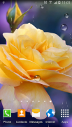 Roses Wallpaper screenshot 4