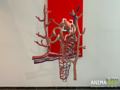 INSIGHT KIDNEY Enterprise screenshot 0
