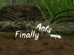 Finally Ants screenshot 0