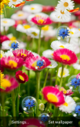 Spring Flowers Live Wallpaper screenshot 1