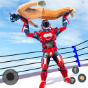 Real World Robot Boxing Games