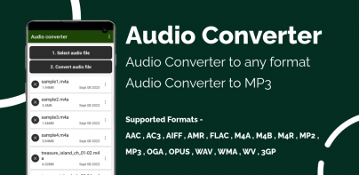 Audio Converter To Any Format