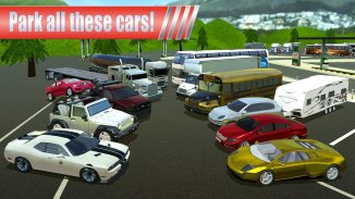 Gas Station Car Parking Game screenshot 14