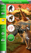 Animal Sounds screenshot 3