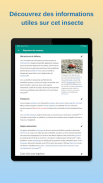 InsectID - Identifier insectes screenshot 2