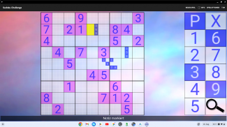 16x16 Sudoku Challenge HD screenshot 7