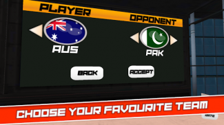 Cricket Superstar League 3D screenshot 7