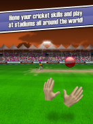 New Star: Cricket screenshot 5