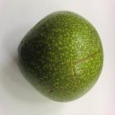 KALRO Avocado Varieties