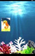 Seahorse Diary screenshot 4