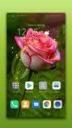 3D Rose Live Wallpaper screenshot 2