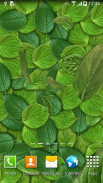 3D Leaves Live Wallpaper screenshot 4