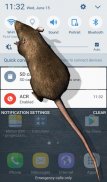 स्क्रीन पर चूहों मजाक screenshot 3