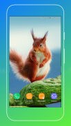 Squirrel Wallpaper screenshot 1