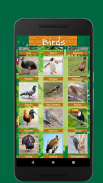 Birds & Animal Sounds screenshot 2