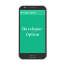 Developer Option Setting Shortcut