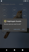 Nightingale: Bird Sounds screenshot 5